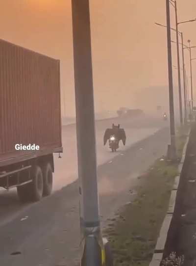 Batman🦇 comes to India 