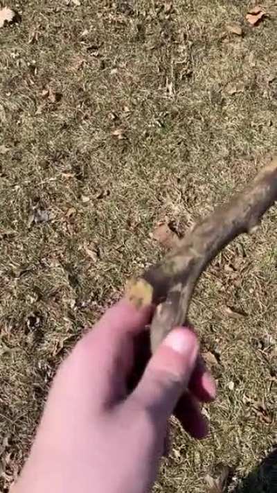 Stick Gun