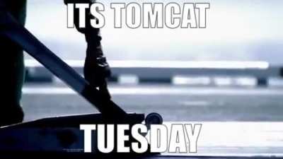 ITS TOMCAT TUESDAY