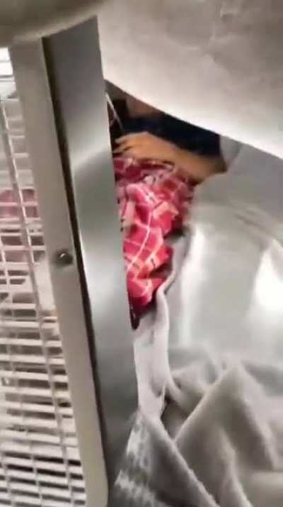 How to cool down ingenious way to beat the heat