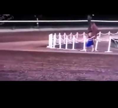 camel wasn't even into it until he saw the first handoff