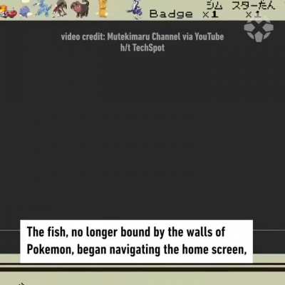your fish are: damn fraudsters