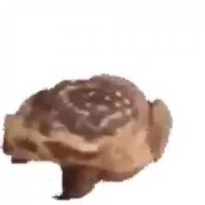 Rotating amphibian