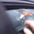 Dog locks car, strands owner outside, cows refuse to help.
