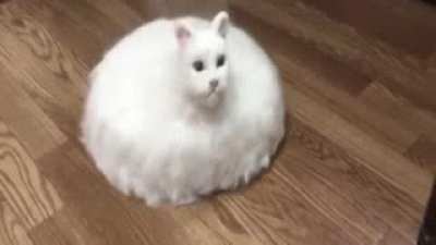 Less than 24 hours until r/pan opens for broadcasting!
