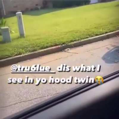 Throwback of glokk genuinely roasting a junky