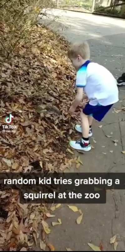 Don’t fuck with squirrels
