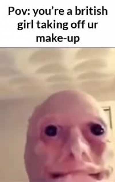 It is of common knowledge that the only people uglier than the british are the fr*nch
