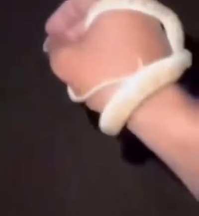 Fofo