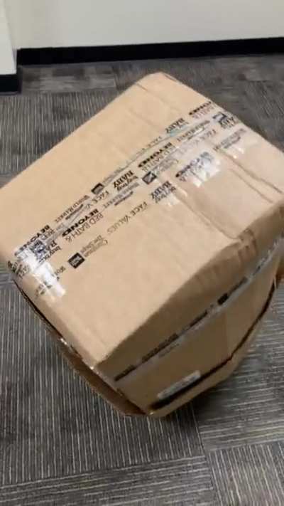 GONK irl