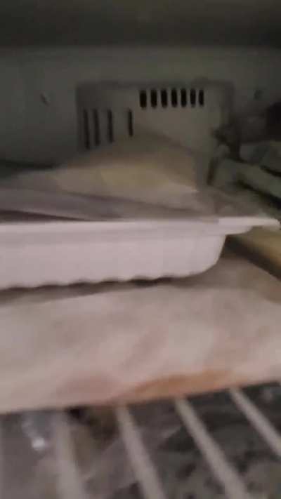 Fridge making loud noise