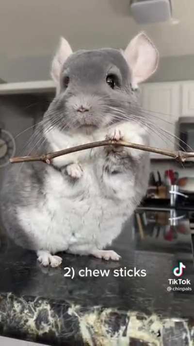 Showing all the things he can grab