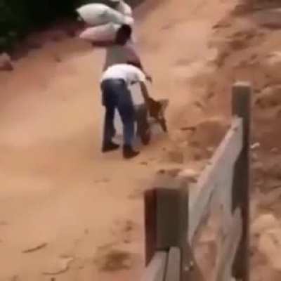 Дай помогу, дружище