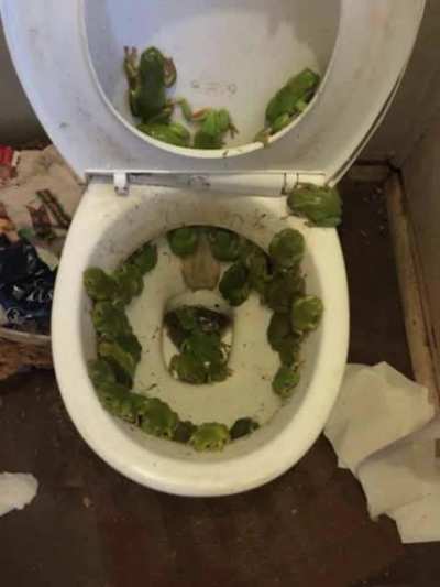 Touhou Toilets #5