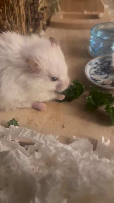 She loves her kale