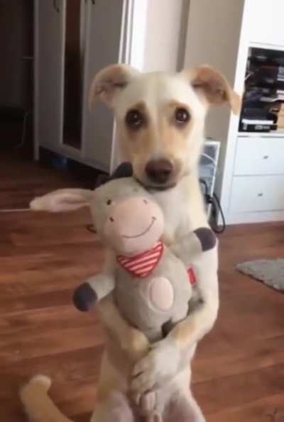 Everybody needs a friend! ❤️