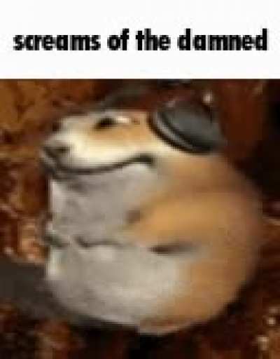 When the