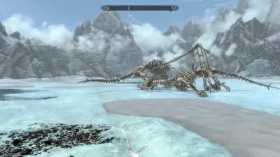 Dragons got better moves than I have