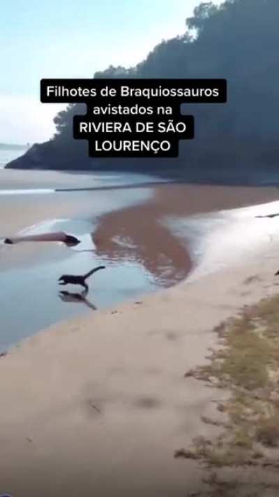 sim