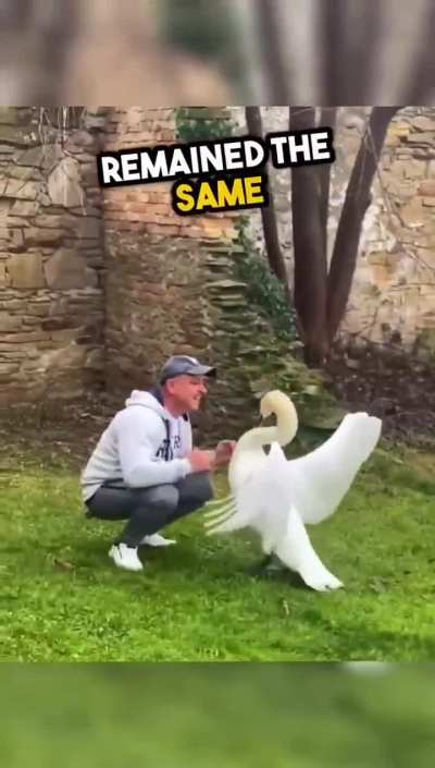 Lovely Story