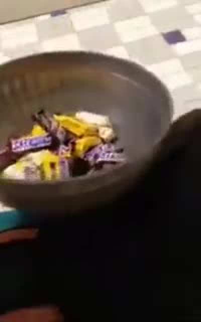Happy Halloween