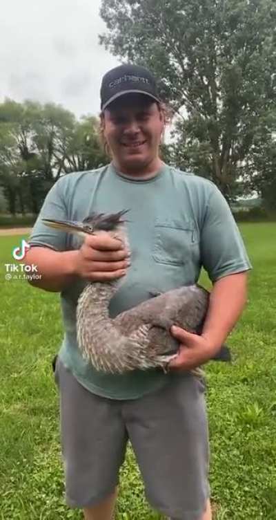 just a little gift