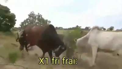 Hoje só foi capa família 😎