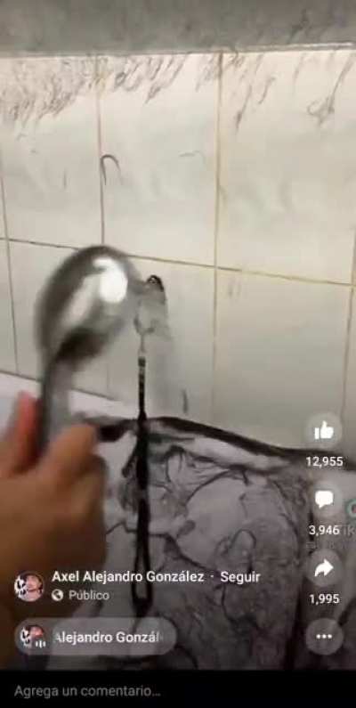 Bath full of hair