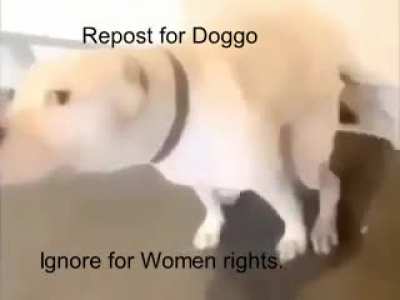You have the choice