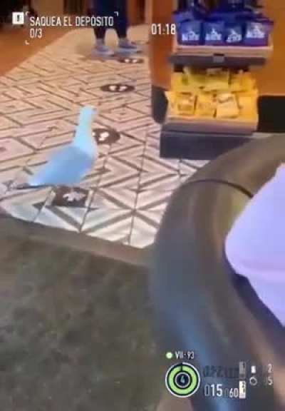 🦆+🤡