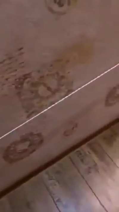 Holy shit that's a long wire