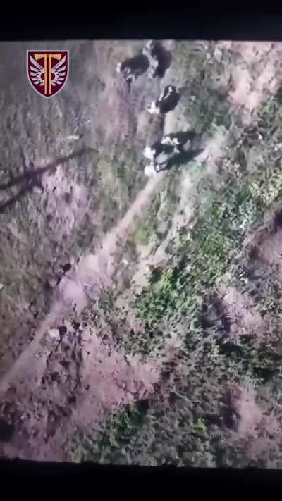 Ukrainian drone-dropped grenade hits a group of Russians. September 2023.