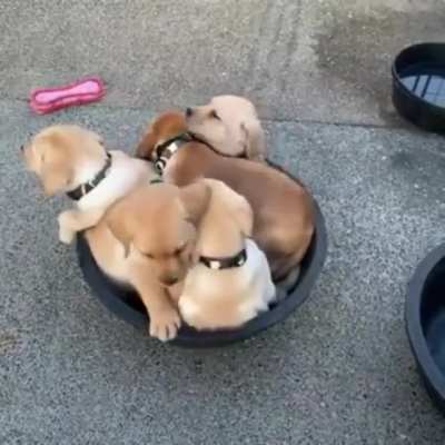 Maybe Maybe Maybe