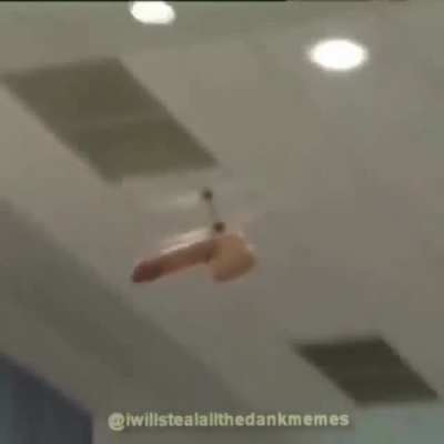 IT'S A BIRD.IT'S A PLANE oh wait...