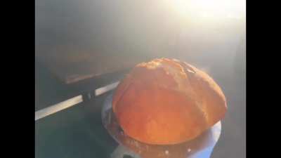 600lb homemade wood fired oven in action
