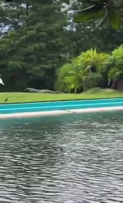 Nature is wild