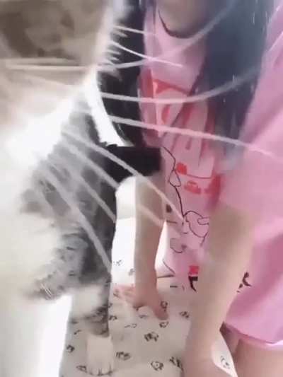 AAAA
