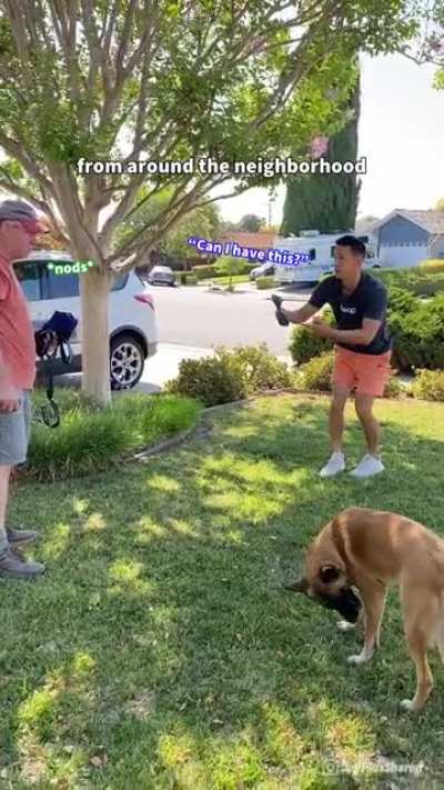 Package Thief Revenge