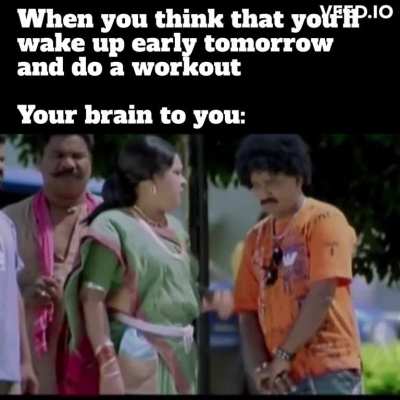 Daily Routine