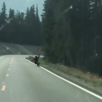 Deer tries to hit skateboarder.