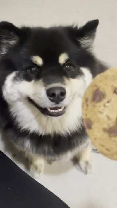 a bit of a wholesome one, if you will