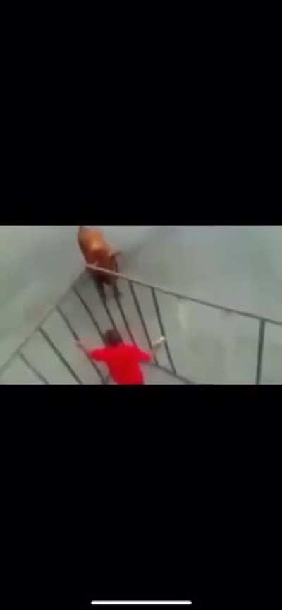 Taunt Failed