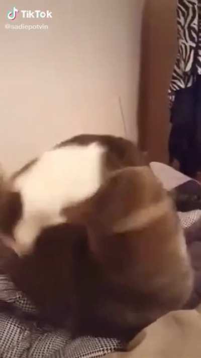 AAAAAAA-
