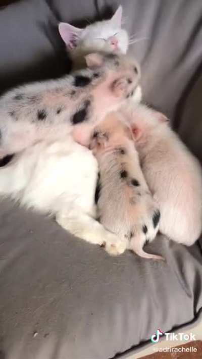 Well......my heart just exploded!!