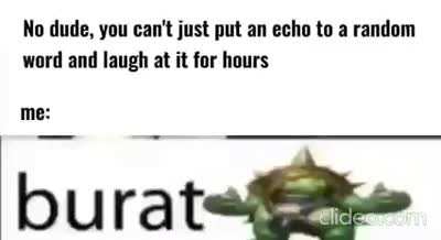 xd