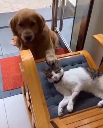 I love you anyway