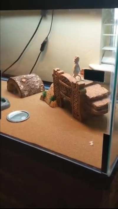 Saw this in one of the Facebook groups I'm in. Figured I'd share it with everyone. (not my video)
