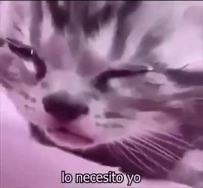 Sadness