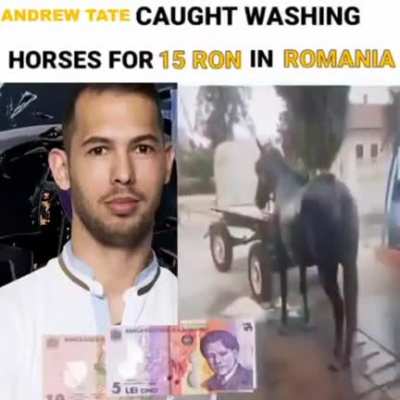 andrw tat