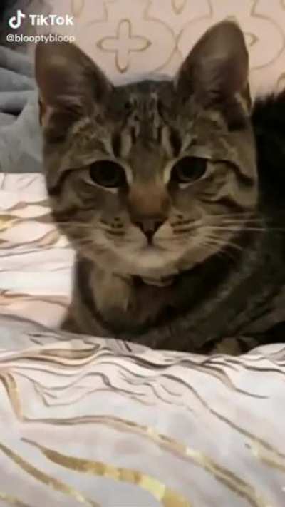 You want some food?